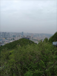 果然很多！——銳康屹員工到濟(jì)南市茂嶺山公園檢測(cè)負(fù)氧離子含量