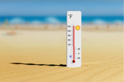 夏季太熱，不如把森林搬回家！